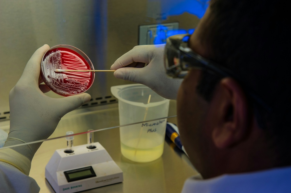 Pathology - Microbiology