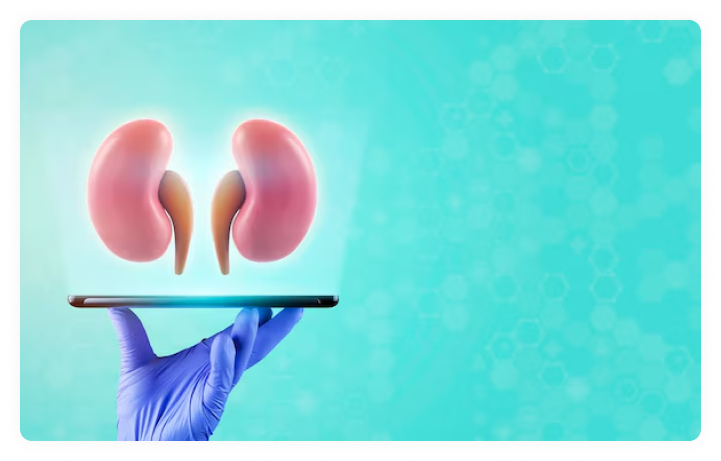 Nephrology