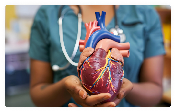 Cardiology