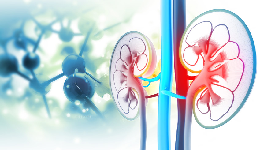 Urology