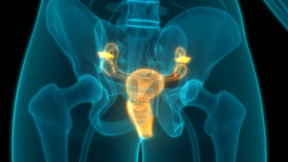 Prostate Disease