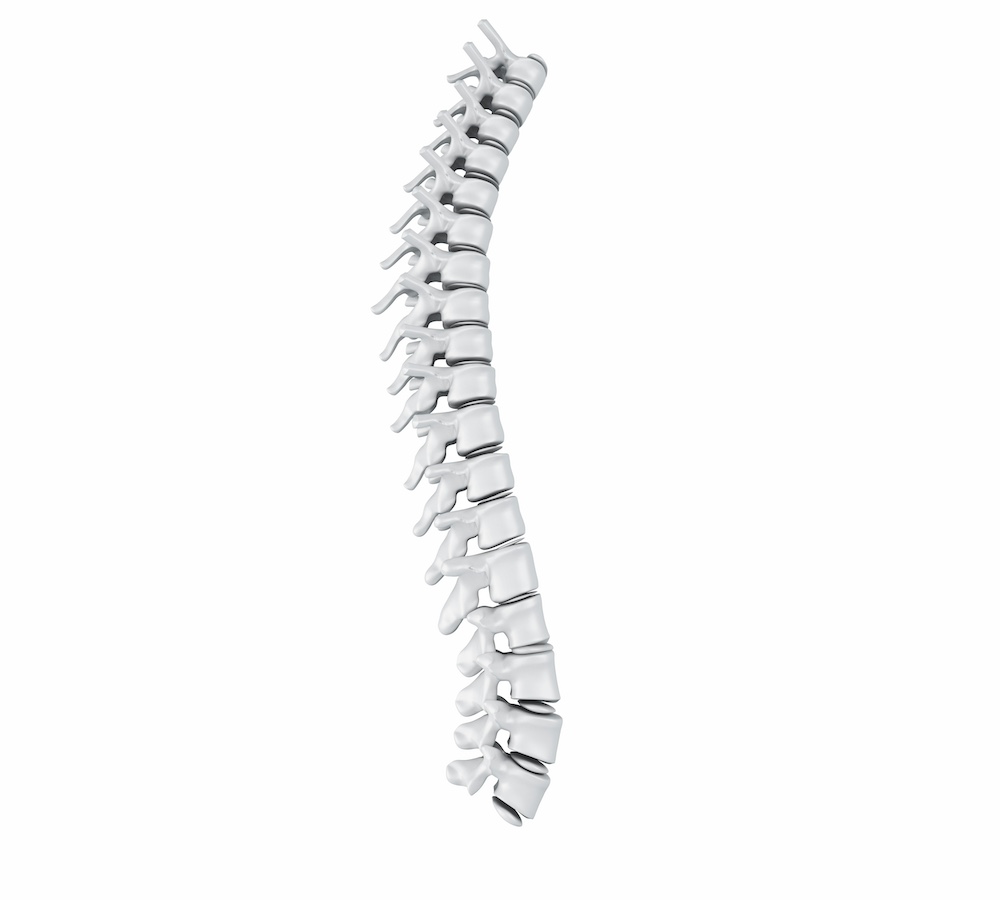 Spine Surgery