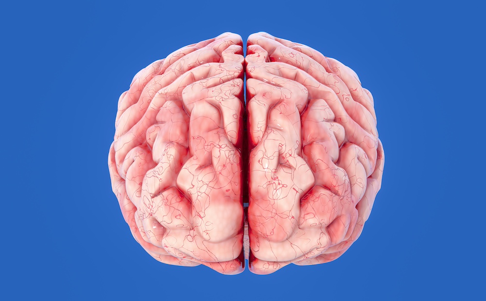 Epilepsy Treatment