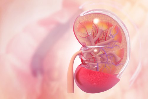 Nephrotic Syndrome Treatment