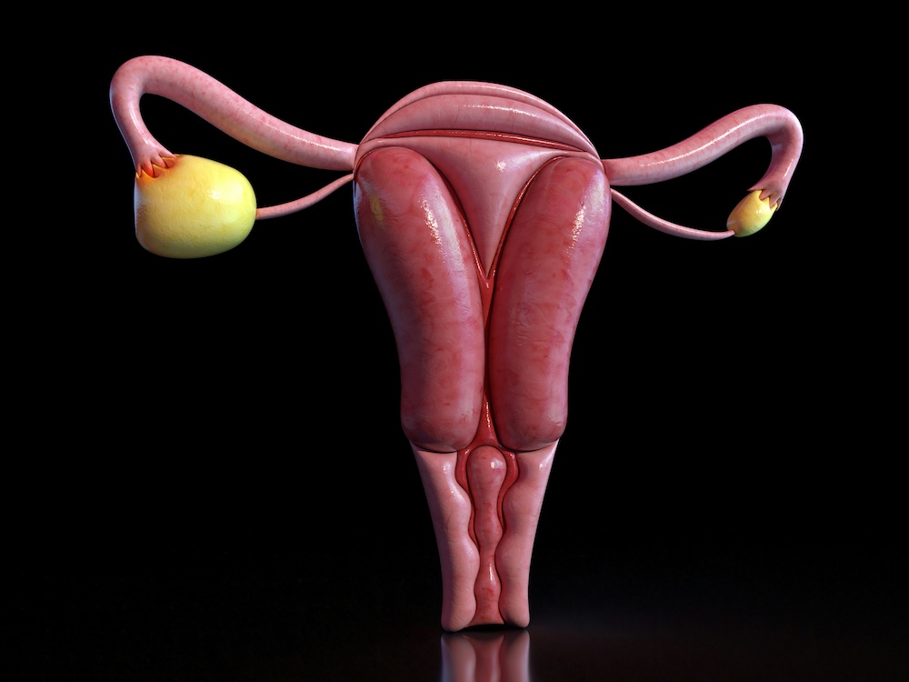 Polycystic Ovary Syndrome (PCOS) Treatment