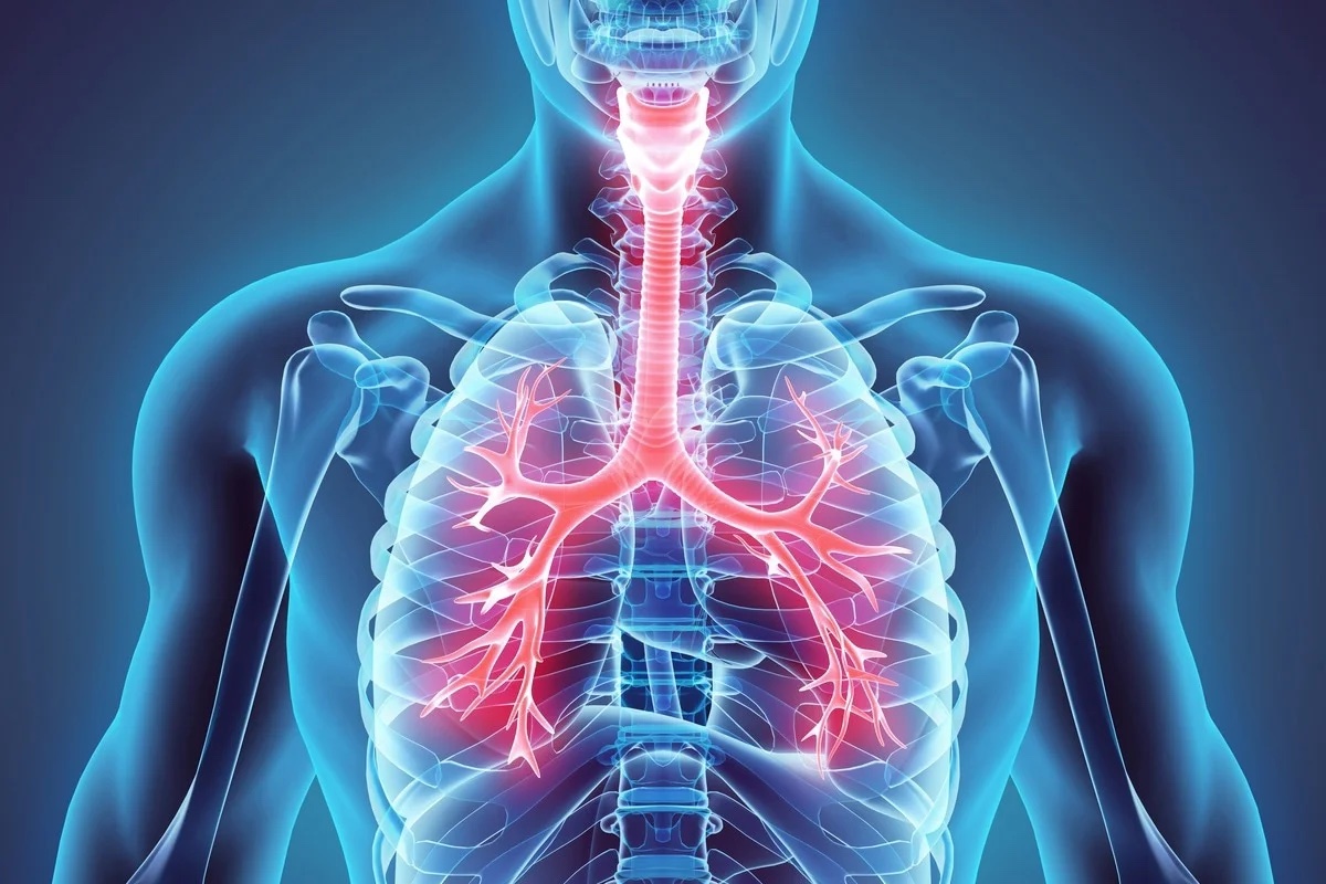 Allergic Respiratory Disorders