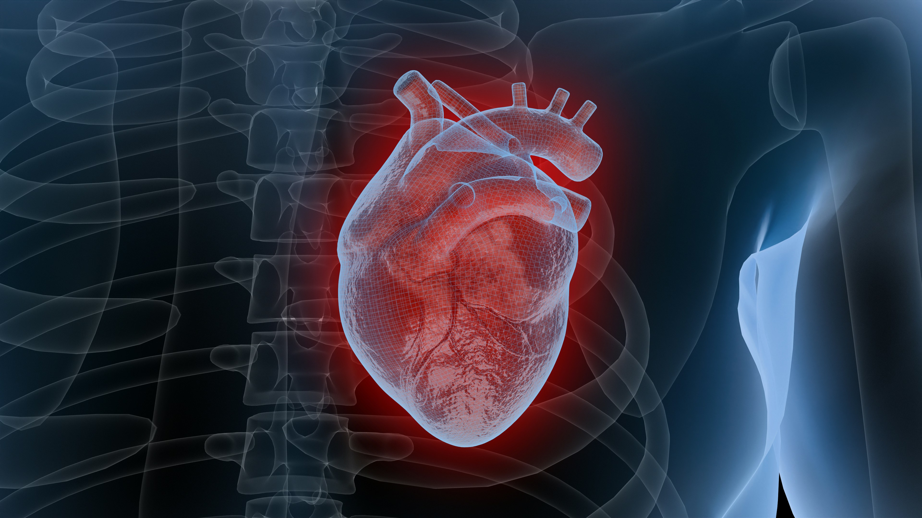 Cardiac Rehabilitation and Risk Management
