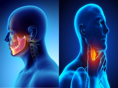 Head and Neck Cancer Surgery