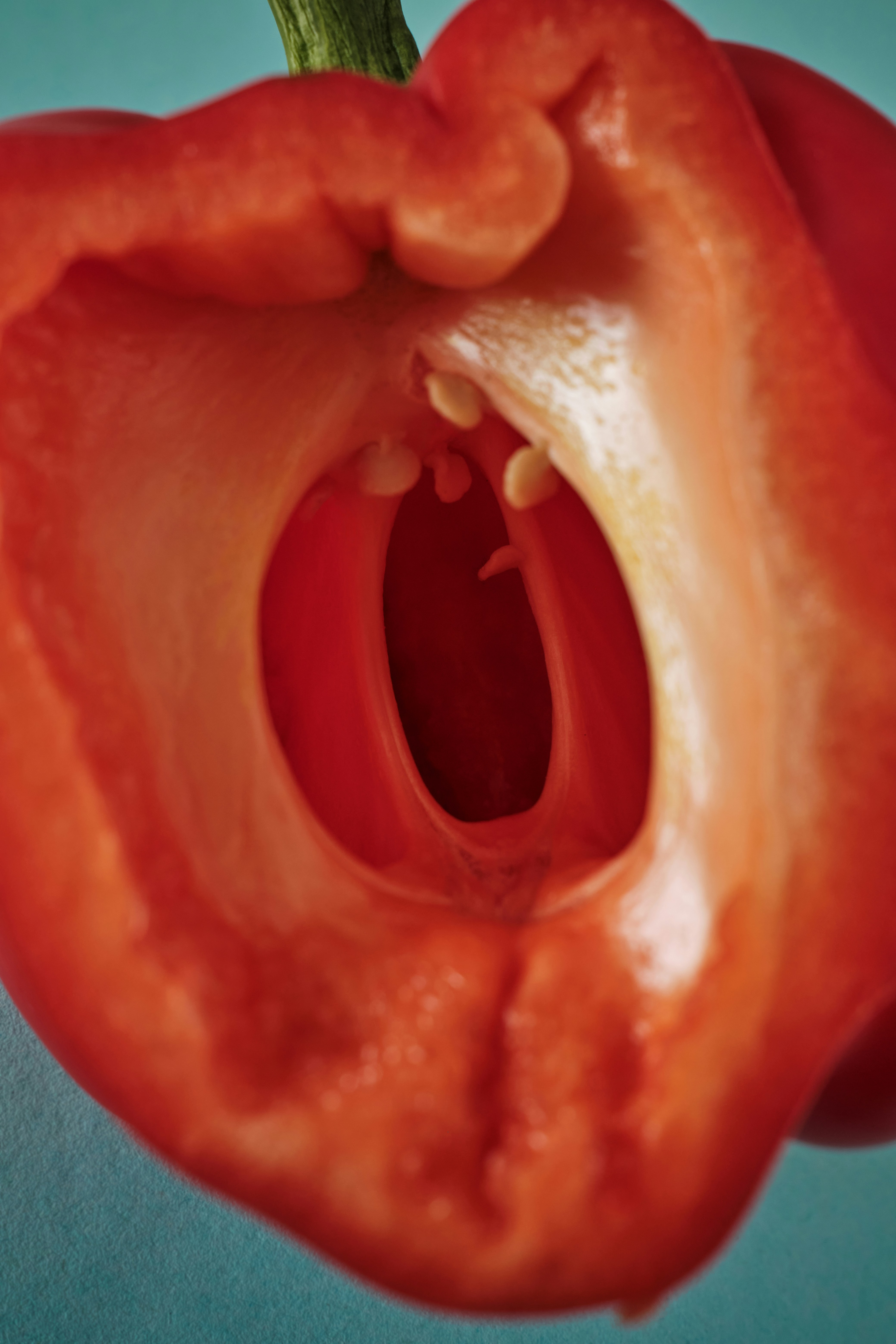 Tonsillectomy and Adenoidectomy
